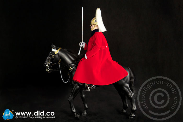 80108-22 The Life Guards