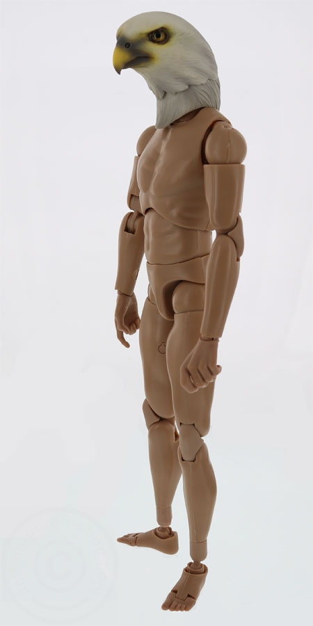 TC-M1007C-07 Vogel Kopf für 1:6 Figuren