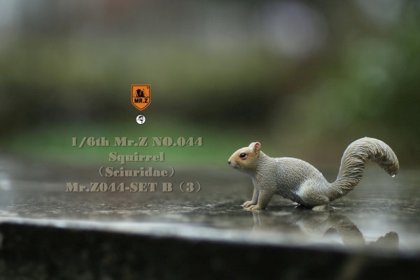 MRZ044B-28 3 Squirrel (Set B)