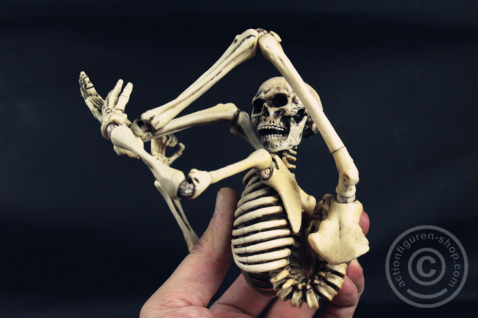 Skeleton Spear Soldier - Human Skeleton in 1:6