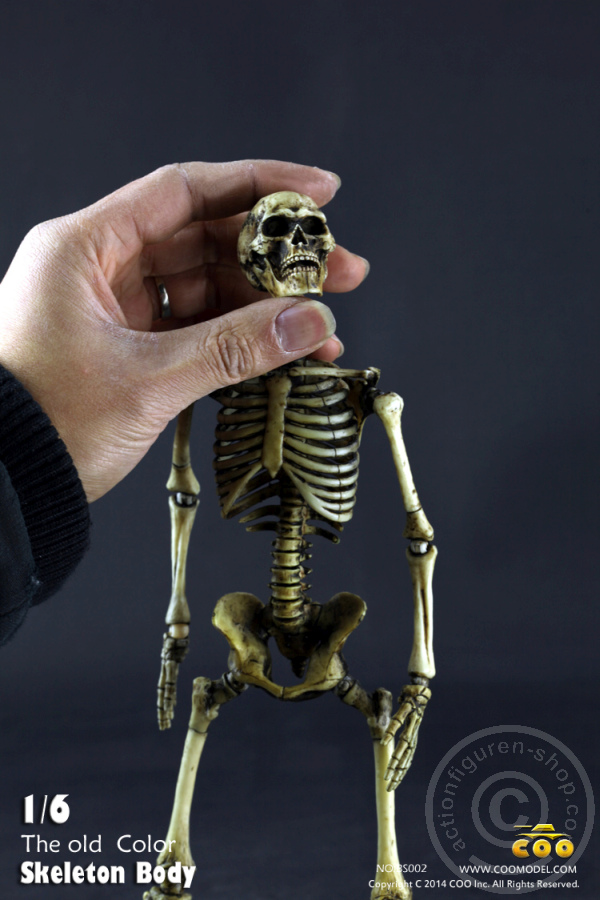 The Skeleton in 1:6 - Old Color