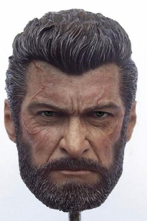 OT00A-03 Logan - Old Wolverine - Head