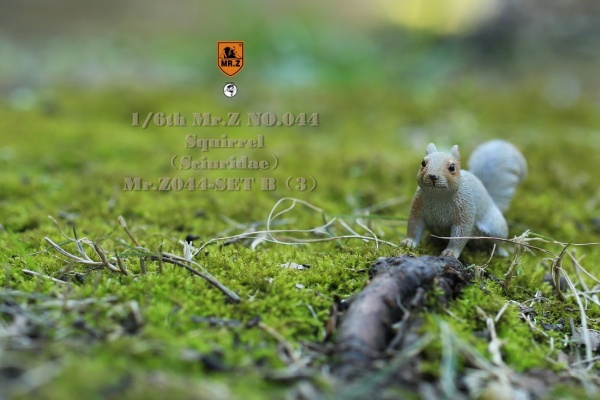 MRZ044B-25 3 Squirrel (Set B)