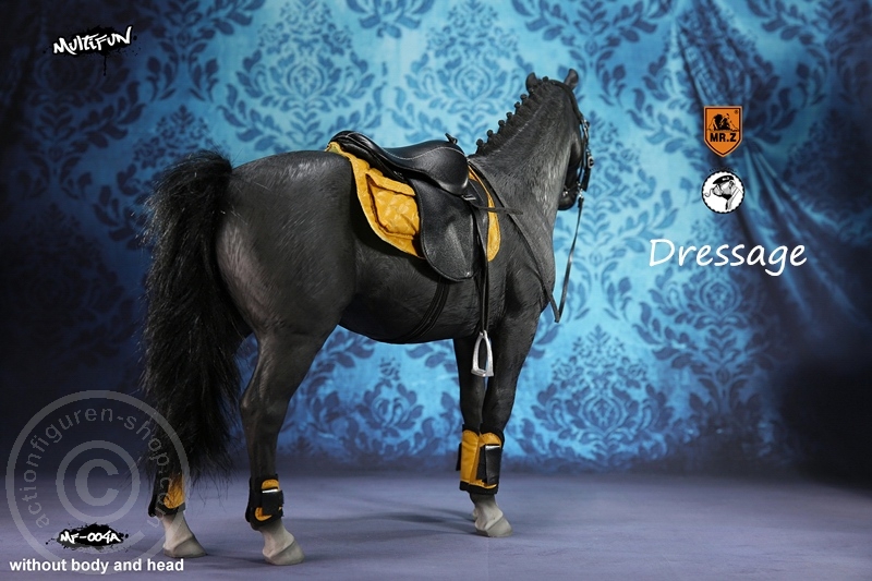 MRZ004A-04 Dressage Set A