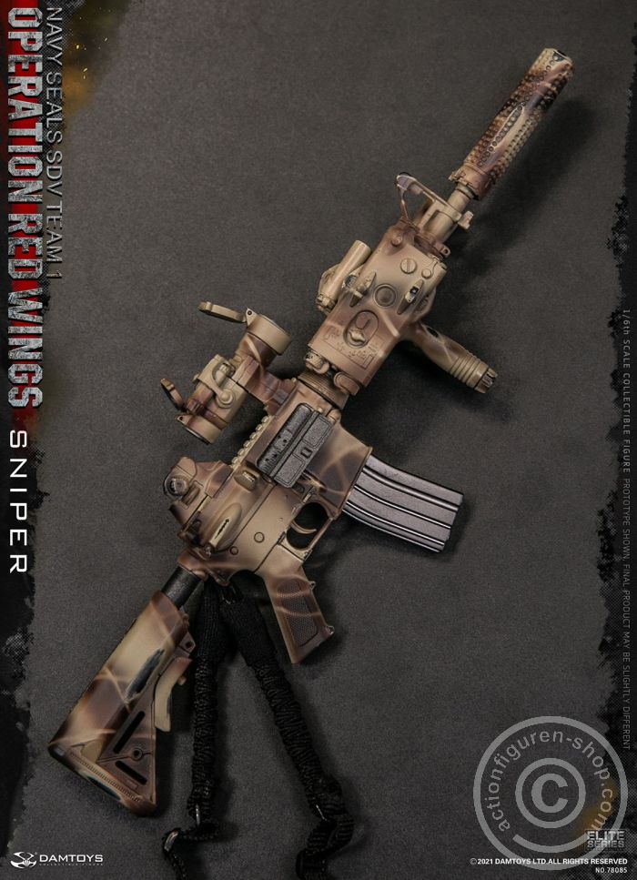 Operation Red Wings - NAVY SEALS SDV TEAM 1 - Sniper