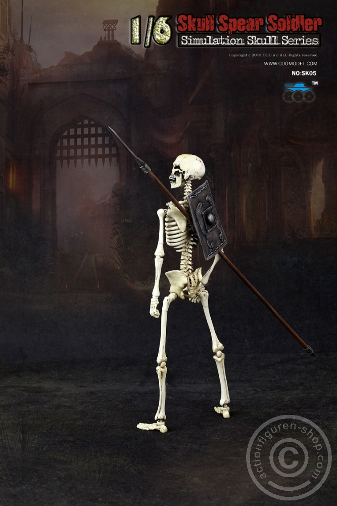 Skeleton Spear Soldier - Human Skeleton in 1:6