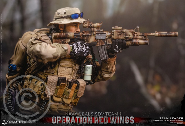 DA78069-09mIk2fMkkLh8UX Operation Red Wings - NAVY SEALS SDV TEAM 1 - Team Leader