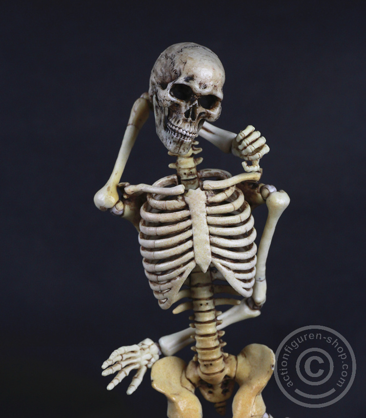 Skeleton Spear Soldier - Human Skeleton in 1:6