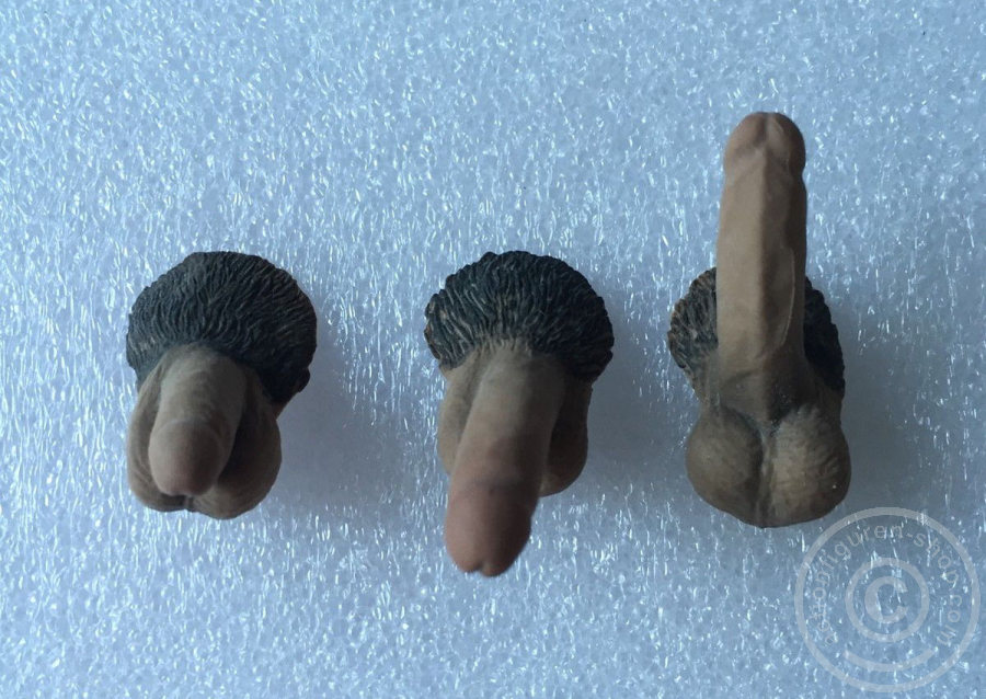 3 Genitalien für männliche Phicen Körper