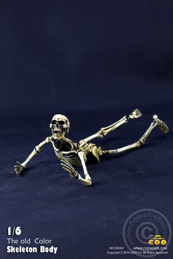 The Skeleton in 1:6 - Old Color