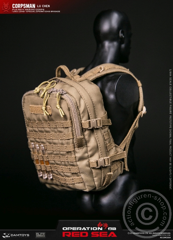DADMS009-29 Lu Chen - Corpsman - Jiao Long - Operation Red Sea