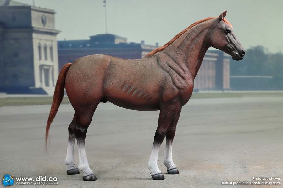 German WWII Brown War Horse (Standing) - in 1/6 scale