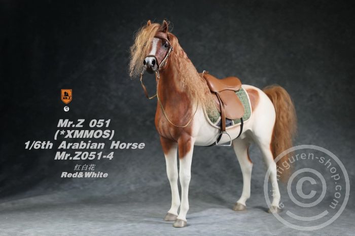 Arabian Horse w/ full European Harness - white-brown