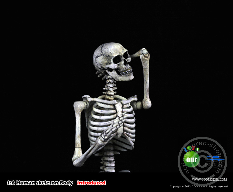 Skeleton Spear Soldier - Human Skeleton in 1:6