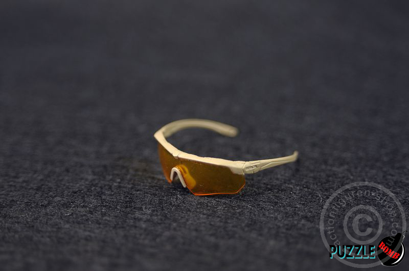 PB001B-11 Daisy C5 Sunglasses - Modern Military