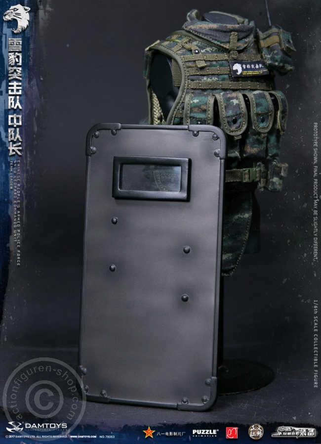 DA78053-22 China People Armed Police Force - Snow Leopard Commando Leader