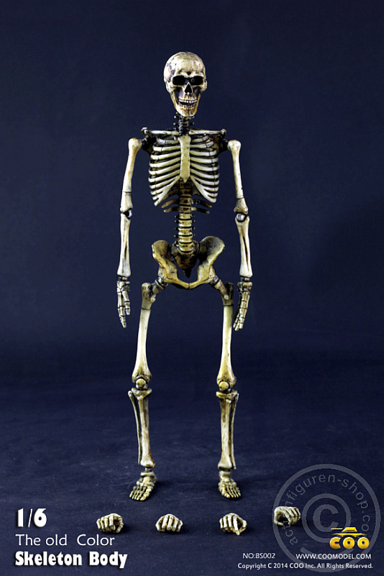 The Skeleton in 1:6 - Old Color