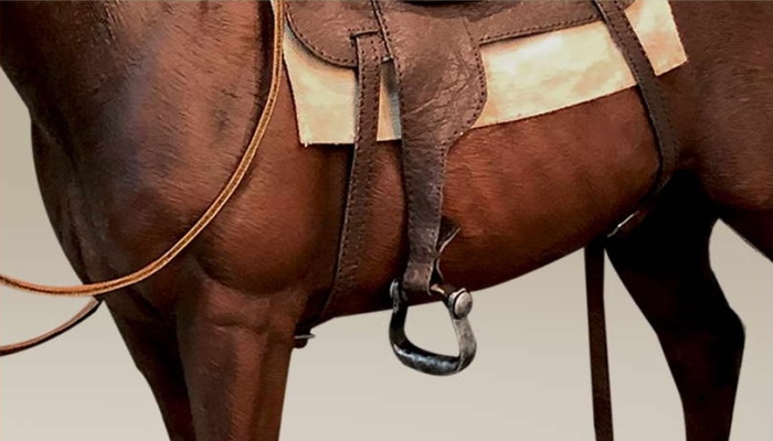 sa088c-05XKTcBbu2WUzPQ Cowboy Horse