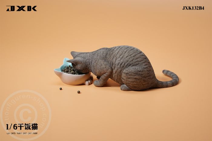 Cats That Eat Cat Food - B4