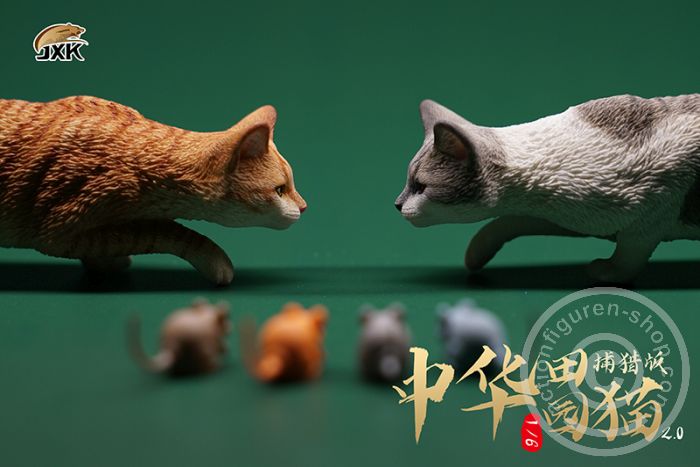 JxK062B-03 Felis catus 2.0