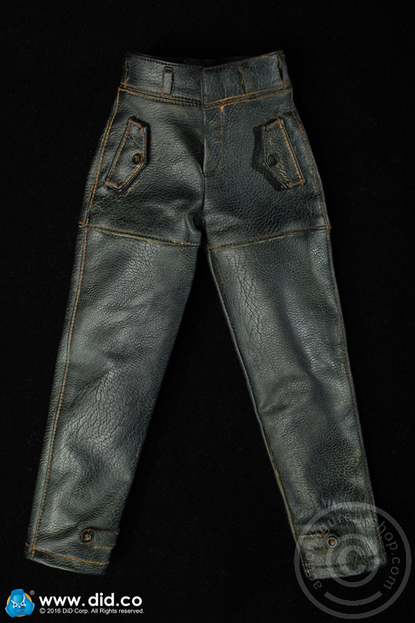 80120-30utRqjqAu7Zvz6 Joachim Peiper - SS-Standartenführer