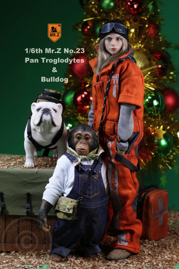 Chimpanzee and Bulldog Set