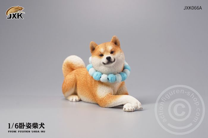 Prone Position Shiba Inu - A