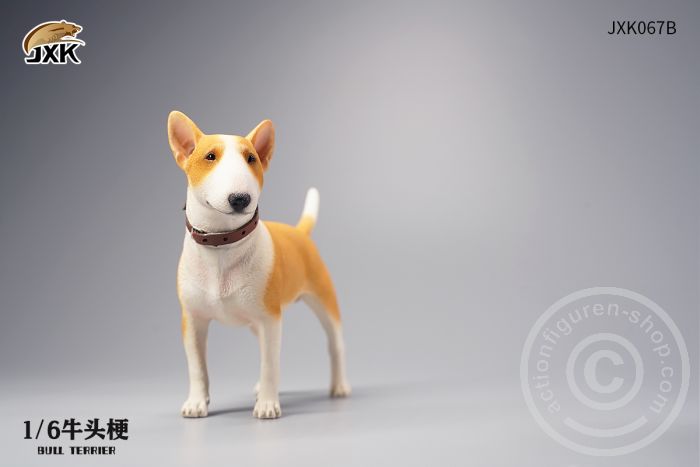 Bull Terrier - white/brown