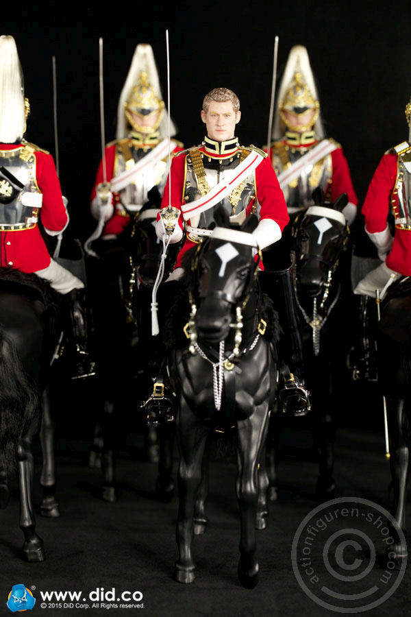 80108-45 The Life Guards