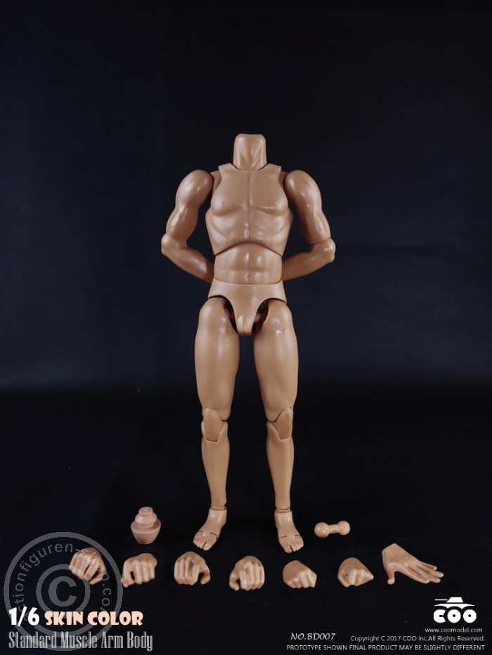 Male Body 2.0 - Muscular - 25cm