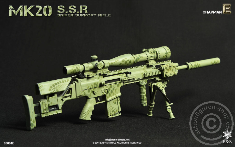 MK20 Sniper Support Rifle - E