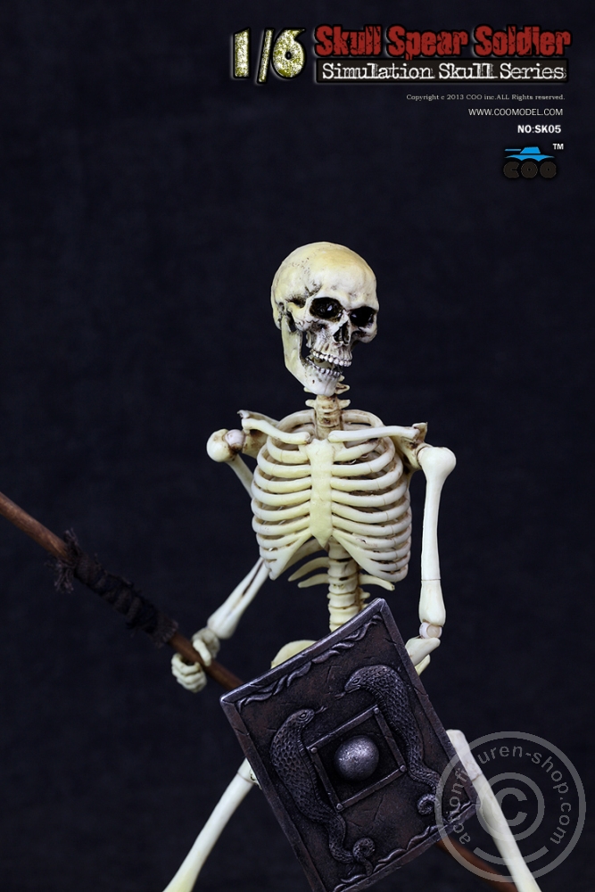 Skeleton Spear Soldier - Human Skeleton in 1:6