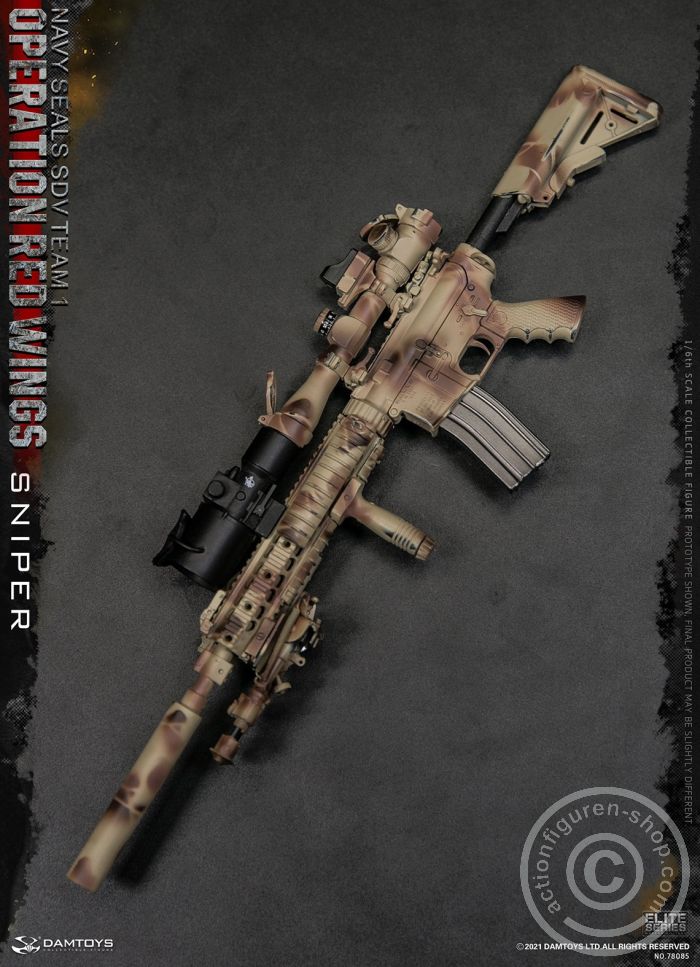 Operation Red Wings - NAVY SEALS SDV TEAM 1 - Sniper