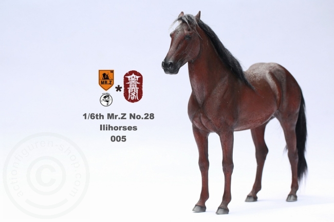 MRZ028-05-02 Ili Pferd - braun