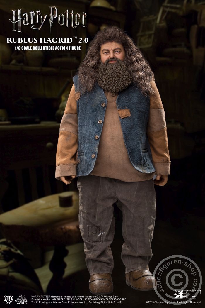 Rubeus Hagrid - Harry Potter And The Sorcerers Stone + X-Mas Version