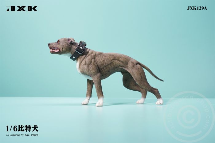 American Pit Bull Terrier American Pit Bull Terrier