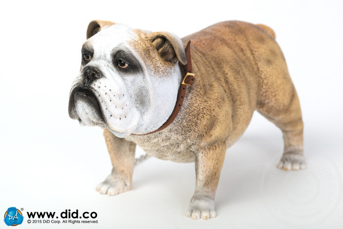 AS002A-07 British Bulldog - Version A