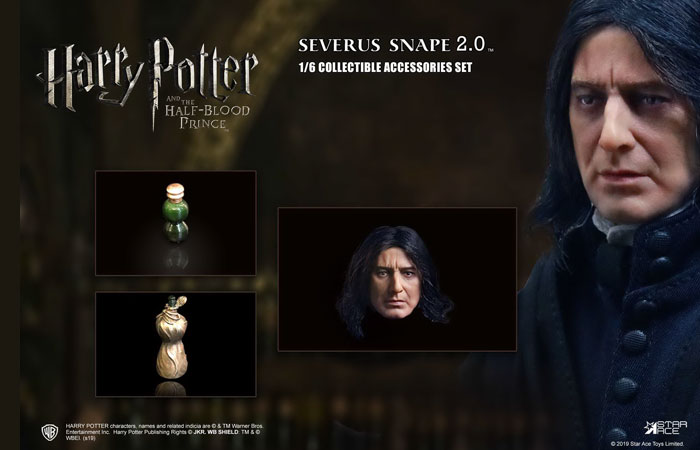 Severus Snape 2.0 (Head & Bottle Pack)