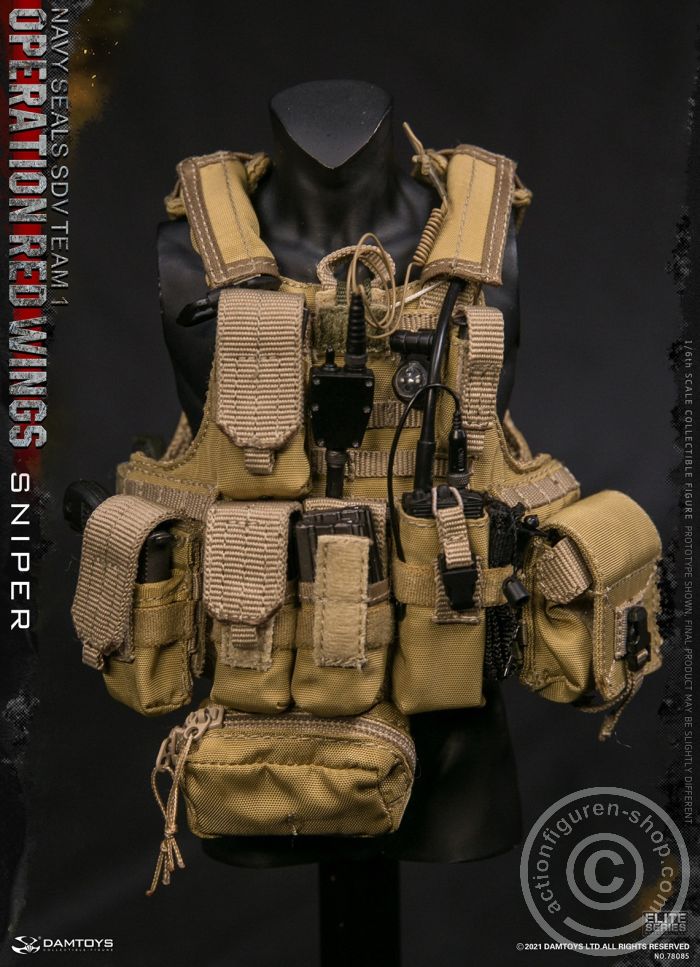 Operation Red Wings - NAVY SEALS SDV TEAM 1 - Sniper