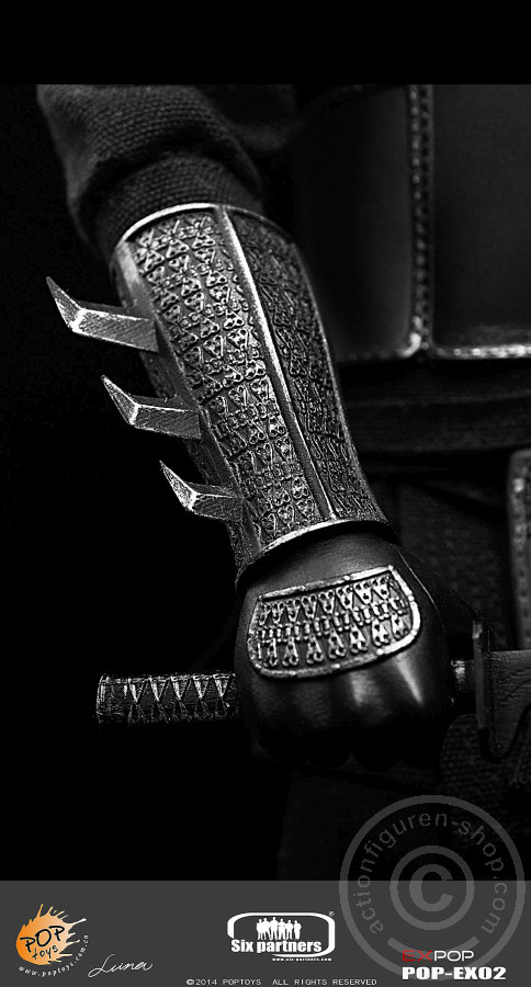 PTex02-09 Leader of Shadow Alliance - Master Ninja - Armor Ver.