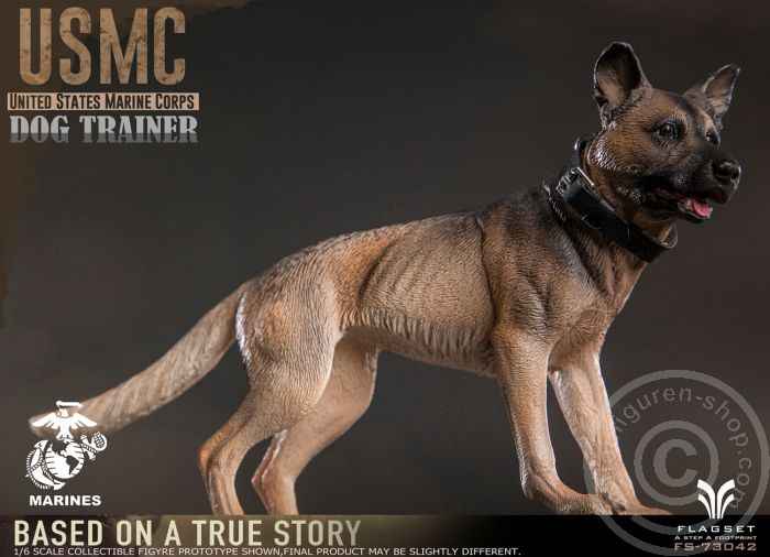 USMC Female Dog Trainer - Based on a True Story