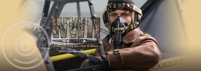 80154-66 Hans-Joachim Marseille - WWII German Luftwaffe Flying Ace