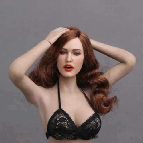 Female Head - brown long Hair