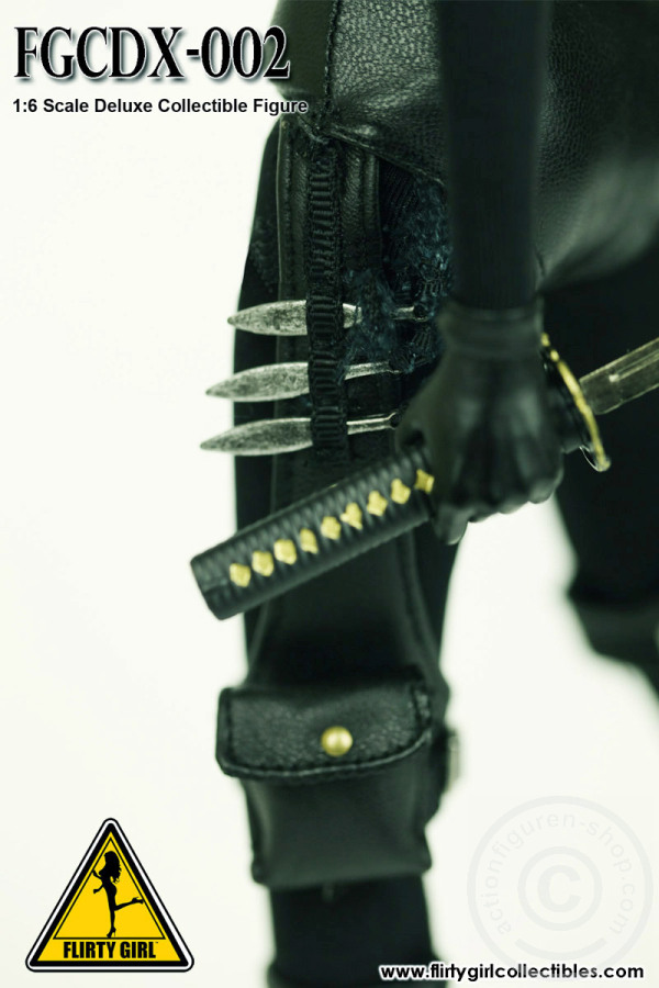 FGCDX02-03 Ninja Assassin