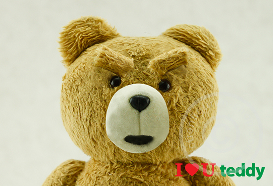 TED - I Love U Teddy