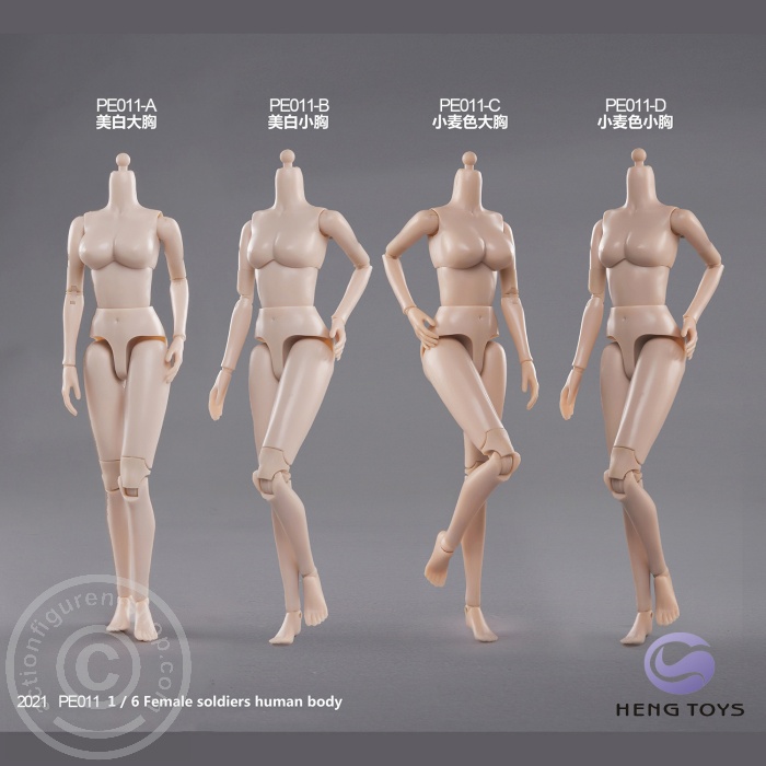 Highly Mobile Female Body - pale/smaller Breast