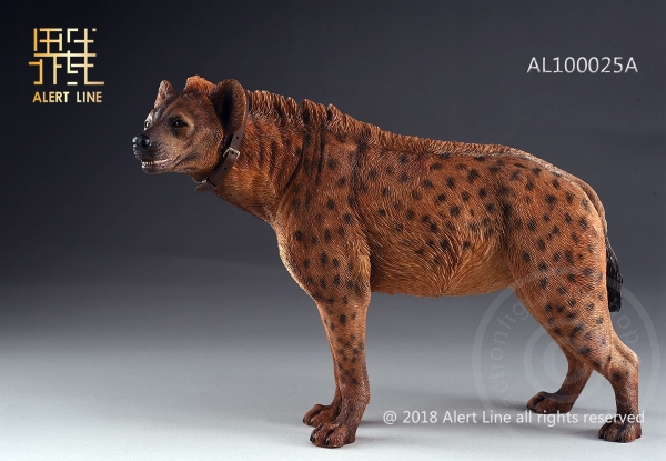ALL1025AB-02 Crocuta - 1/6 scale