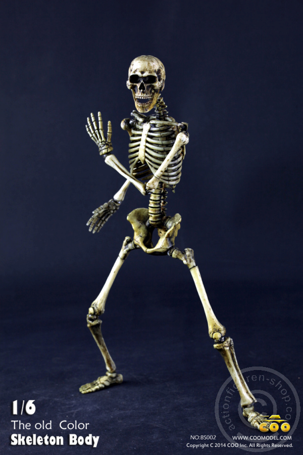 The Skeleton in 1:6 - Old Color