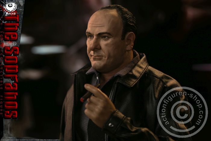 B8-BK002-08 The Sopranos - Tony Soprano