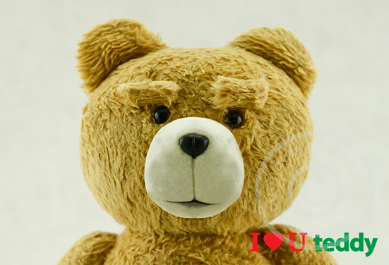 TED - I Love U Teddy